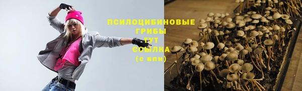 ПСИЛОЦИБИНОВЫЕ ГРИБЫ Сосновоборск