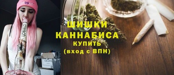 амф Сосновый Бор