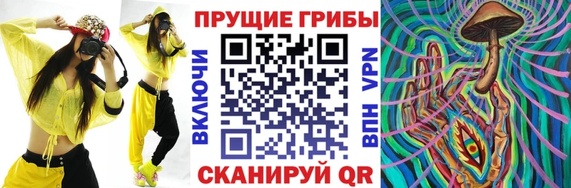 blacksprut как войти  Псков  Псилоцибиновые грибы Psilocybe  купить закладку 